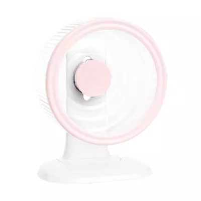 Mini & Moe Running Wheel XL - 11.5" - Image 1