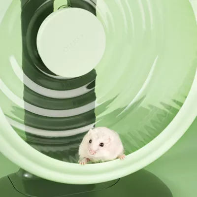 Mini & Moe Running Wheel XL - 11.5" Small Pet Exercise Wheel - Image 3