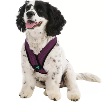 Gooby Comfort X Head In Dog Harness - Image 1