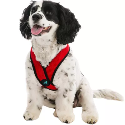 Gooby Comfort X Head In Dog Harness - Image 1
