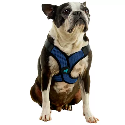 Gooby Comfort X Step In Lite Dog Harness - Image 1