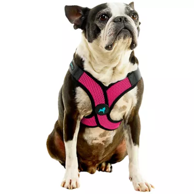 Gooby Comfort X Step In Lite Dog Harness - Image 1