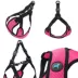 Gooby Comfort X Step In Lite Dog Harness image thumbnail 2