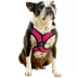 Gooby Comfort X Step In Lite Dog Harness image thumbnail 1
