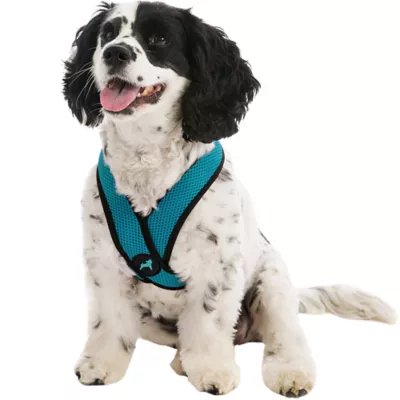 Gooby Comfort X Head In Dog Harness - Image 1