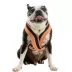 Gooby Comfort X One Dog Harness image thumbnail 1