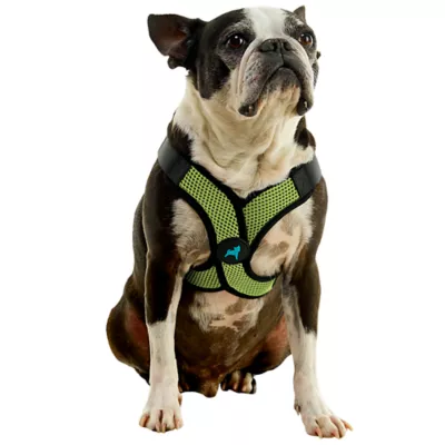 Gooby Comfort X Step In Lite Dog Harness - Image 1