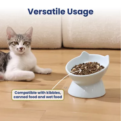 PawsPik Lynx Ceramic Raised Slow Feeder Cat Bowl - Image 4