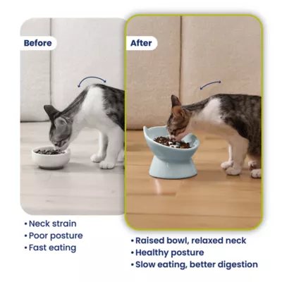 PawsPik Lynx Ceramic Raised Slow Feeder Cat Bowl - Image 7