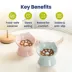 PawsPik Lynx Ceramic Raised Slow Feeder Cat Bowl image thumbnail 2