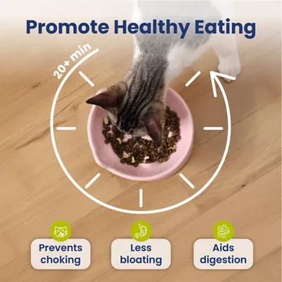 PawsPik Lynx Ceramic Raised Slow Feeder Cat Bowl - Image 3