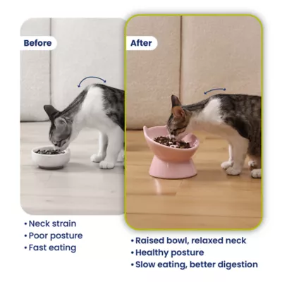 PawsPik Lynx Ceramic Raised Slow Feeder Cat Bowl - Image 7