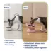 PawsPik Lynx Ceramic Raised Slow Feeder Cat Bowl image thumbnail 7