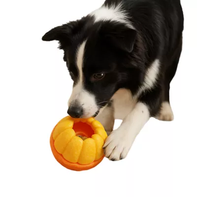 PawsPik 2-In-1 Rolling Treat Dispenser & Frozen Lick Enrichment Dog Toy - Image 1