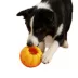 PawsPik 2-In-1 Rolling Treat Dispenser & Frozen Lick Enrichment Dog Toy image thumbnail 1