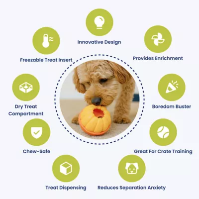 PawsPik 2-In-1 Rolling Treat Dispenser & Frozen Lick Enrichment Dog Toy - Image 7