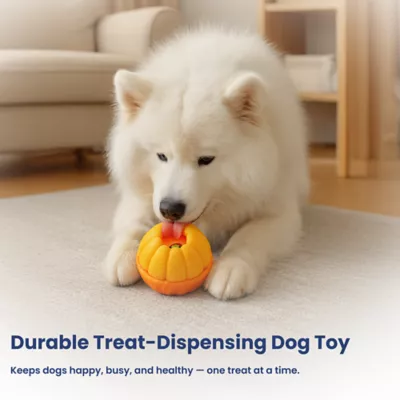 PawsPik 2-In-1 Rolling Treat Dispenser & Frozen Lick Enrichment Dog Toy - Image 8