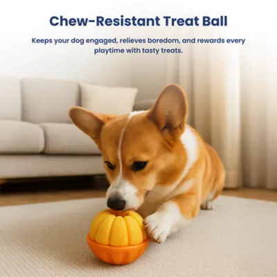 PawsPik 2-In-1 Rolling Treat Dispenser & Frozen Lick Enrichment Dog Toy - Image 9