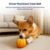 PawsPik 2-In-1 Rolling Treat Dispenser & Frozen Lick Enrichment Dog Toy image thumbnail 9