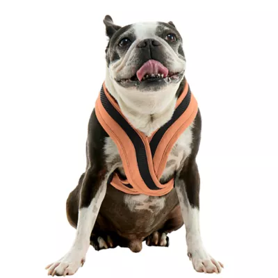 Gooby Comfort X One Dog Harness - Image 1