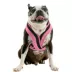 Gooby Comfort X One Dog Harness image thumbnail 1