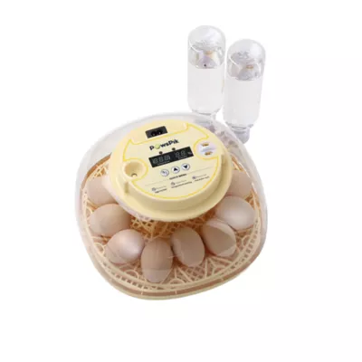 PawsPik Automatic 12 Egg Smart Incubator - Image 1