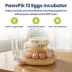 PawsPik Automatic 12 Egg Smart Incubator image thumbnail 2