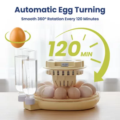 PawsPik Automatic 12 Egg Smart Incubator - Image 3