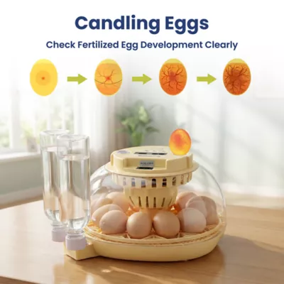 PawsPik Automatic 12 Egg Smart Incubator - Image 5