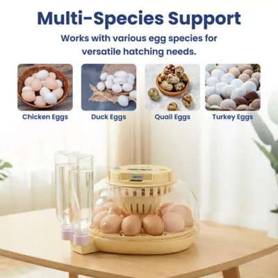 PawsPik Automatic 12 Egg Smart Incubator - Image 8