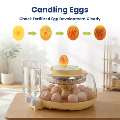 PawsPik Automatic 18 Egg Smart Incubator - Image 5