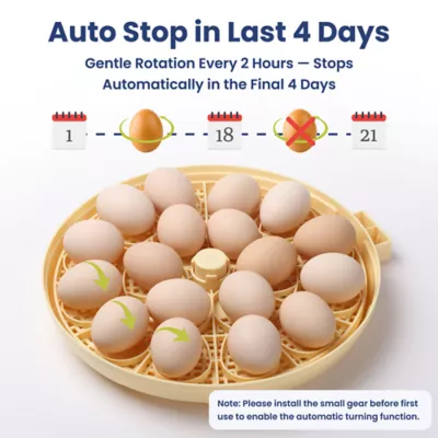 PawsPik Automatic 18 Egg Smart Incubator - Image 7