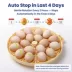 PawsPik Automatic 18 Egg Smart Incubator image thumbnail 7
