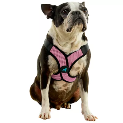 Gooby Comfort X Step In Lite Dog Harness - Image 1