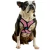 Gooby Comfort X Step In Lite Dog Harness image thumbnail 1