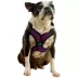Gooby Comfort X Step In Lite Dog Harness image thumbnail 1