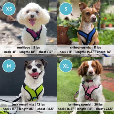 Gooby Comfort X Step In Lite Dog Harness - Image 5