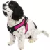 Gooby Easy Fit Dog Harness image thumbnail 1