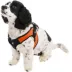 Gooby Easy Fit Dog Harness image thumbnail 1