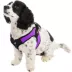 Gooby Easy Fit Dog Harness image thumbnail 1