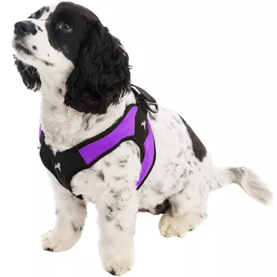 Gooby Easy Fit Dog Harness - Image 1