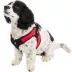 Gooby Easy Fit Dog Harness image thumbnail 1