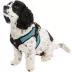 Gooby Easy Fit Dog Harness image thumbnail 1