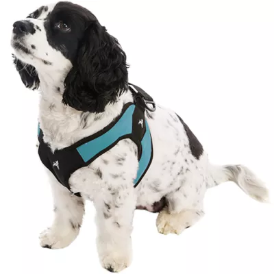 Gooby Easy Fit Dog Harness - Image 1
