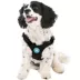 Gooby Escape Free Sports Dog Harness image thumbnail 1