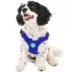 Gooby Escape Free Sports Dog Harness image thumbnail 1