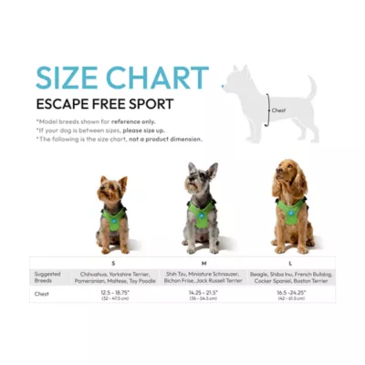 Gooby Escape Free Sports Dog Harness - Image 5