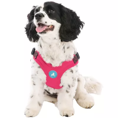 Gooby Escape Free Sports Dog Harness - Image 1