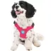Gooby Escape Free Sports Dog Harness image thumbnail 1