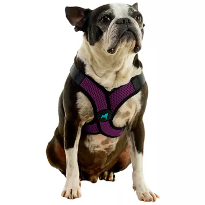 Gooby Comfort X Step In Lite Dog Harness - Image 1